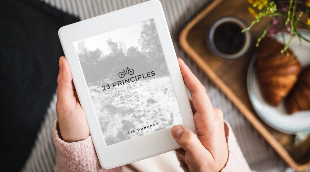 23 Principles Kindle Book