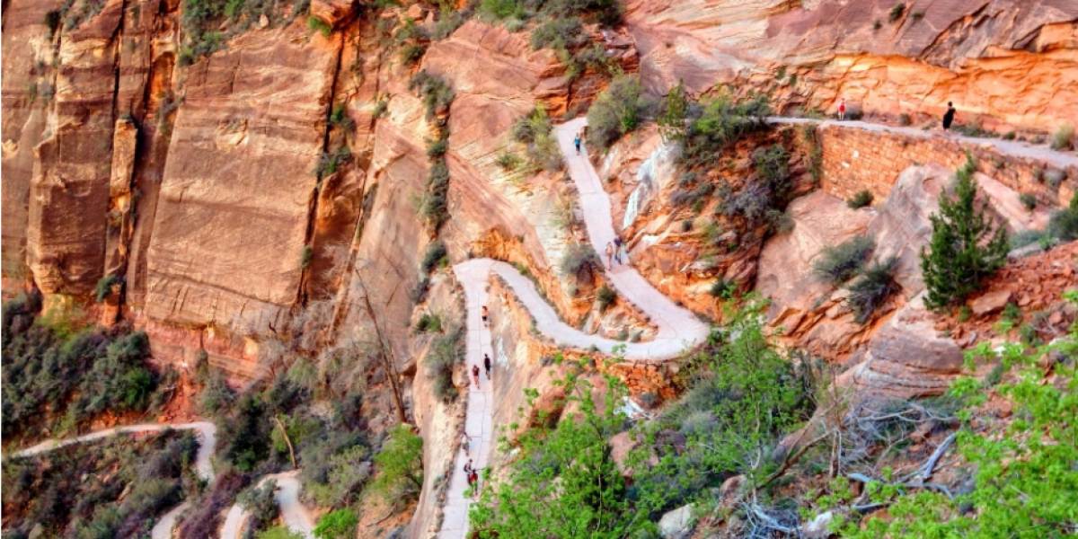 Conquering the Switchbacks of Life On and Off Your Bike